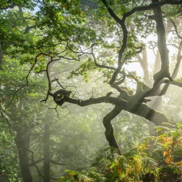 Nigel Danson images for Nikon magazine