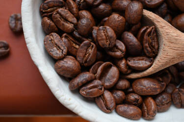 Nikon magazine - the NIKKOR Z DX MC 35mm f/1.7