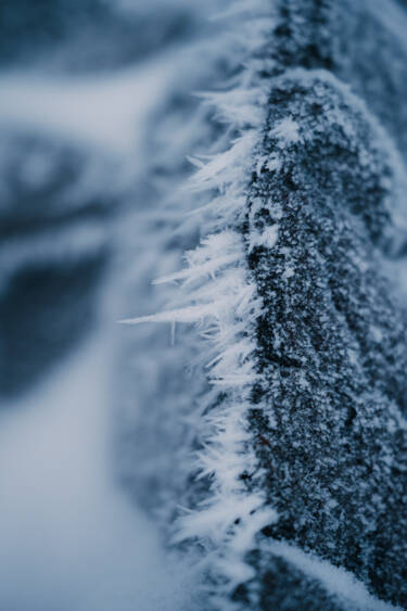 Nikon magazine - why the NIKKOR Z 24-70mm f/2.8 S II is great for video 